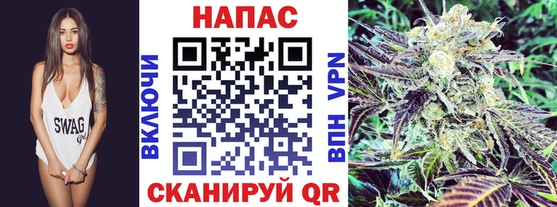 Купить где  Талдом  Канабис индика 